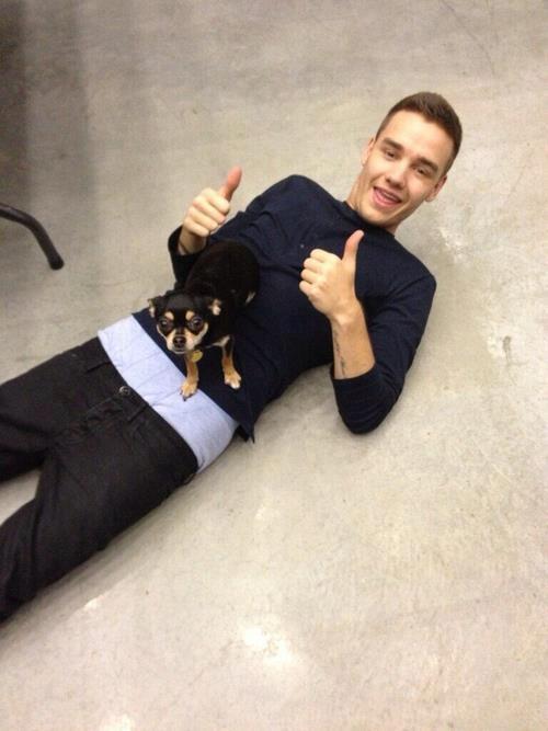 Liam.............