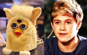 Niall, Furby