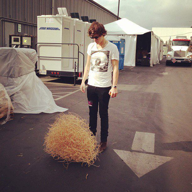 Harry......